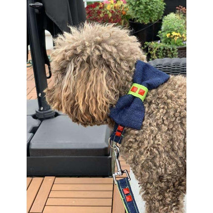 Navy denim & Neon dog bow tie with red studs