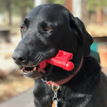 MKB Key to My Heart Ultra Durable Nylon Dog Chew Toy