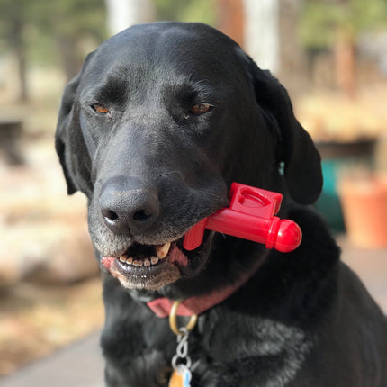 MKB Key to My Heart Ultra Durable Nylon Dog Chew Toy
