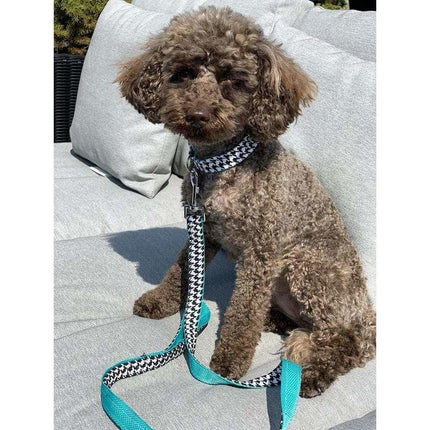 Kerberos Pied De Poule Dog Leash