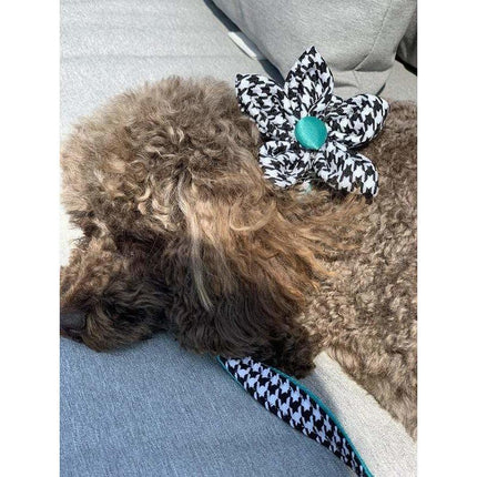 Kerberos Pied De Poule Collar Flower