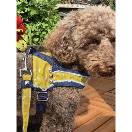 Mustard Honeycomb Denim Dog Harness