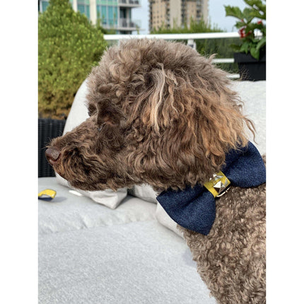 Mustard Honeycomb denim Dog Bow Tie