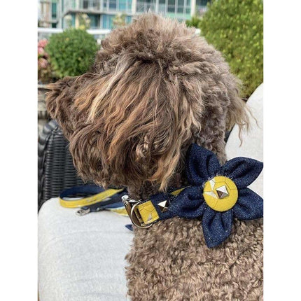 Mustard Honeycomb Denim Dog Collar Flower