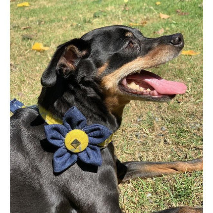 Mustard Honeycomb Denim Dog Collar Flower