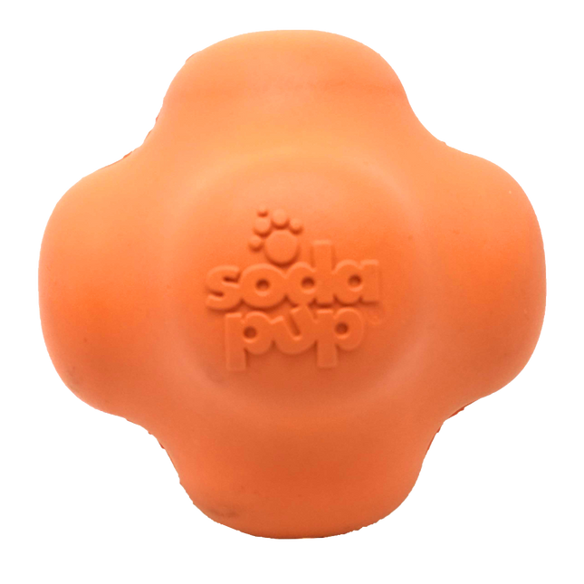 Crazy Bounce Ultra Durable Rubber Chew & Retrieving Toy