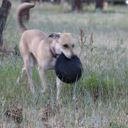 Magnum Bottle Top Flyer Ultra Durable Rubber Retrieving Frisbee