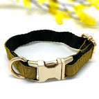 XS / Collar only