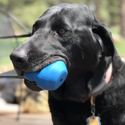 Double Trouble Durable Rubber Chew Toy & Treat Dispenser