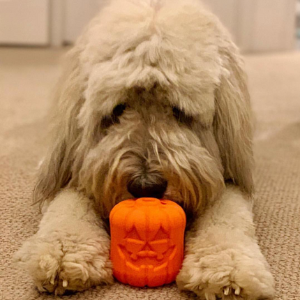 MKB Jack O' Lantern Durable Rubber Chew Toy & Treat Dispenser
