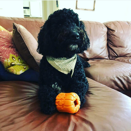 MKB Jack O' Lantern Durable Rubber Chew Toy & Treat Dispenser
