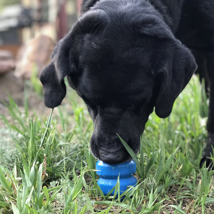 Double Trouble Durable Rubber Chew Toy & Treat Dispenser