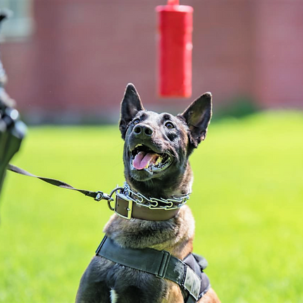 USA-K9 Firecracker Durable Rubber Floating Training Dummy