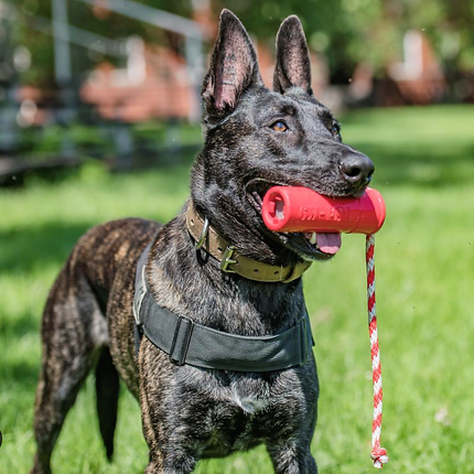 USA-K9 Firecracker Durable Rubber Floating Training Dummy