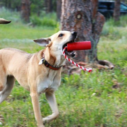 USA-K9 Firecracker Durable Rubber Floating Training Dummy