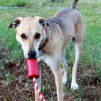 USA-K9 Firecracker Durable Rubber Floating Training Dummy