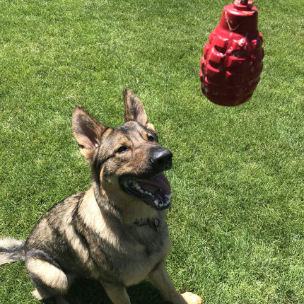 USA-K9 Grenade Durable Rubber Chew Toy & Tug Toy