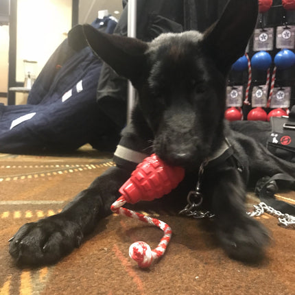 USA-K9 Grenade Durable Rubber Chew Toy & Tug Toy