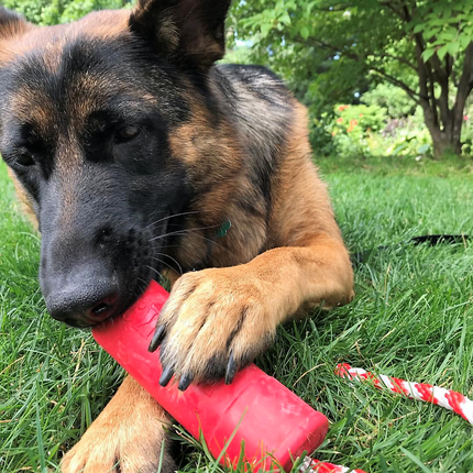 USA-K9 Firecracker Durable Rubber Floating Training Dummy
