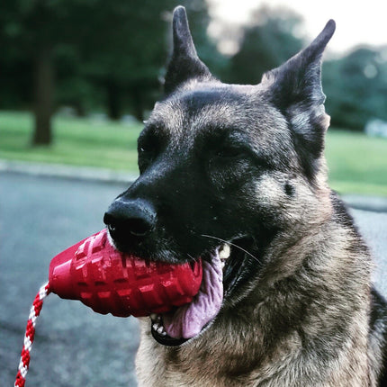 USA-K9 Grenade Durable Rubber Chew Toy & Tug Toy