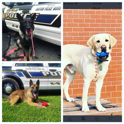 USA-K9 Grenade Durable Rubber Chew Toy & Tug Toy