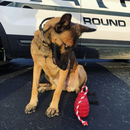 USA-K9 Grenade Durable Rubber Chew Toy & Tug Toy
