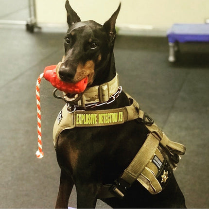 USA-K9 Grenade Durable Rubber Chew Toy & Tug Toy