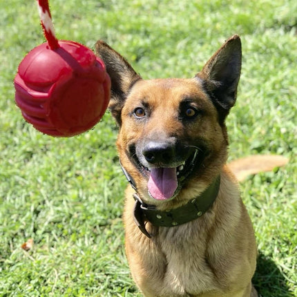 USA-K9 Stars and Stripes Ultra-Durable Rubber Chew Ball