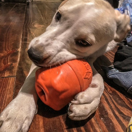 Rocketman Durable Rubber Treat Dispenser & Chew Toy
