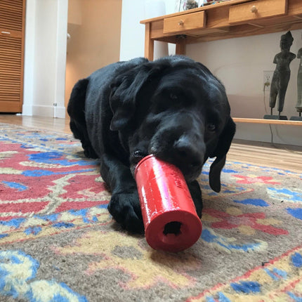 SP Retro Soda Can Durable Rubber Chew Toy & Treat Dispenser