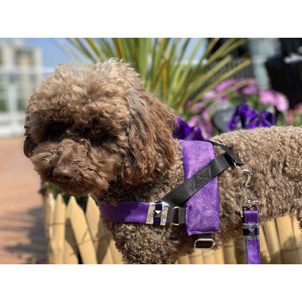 Fenrir Purple Leopard Harness
