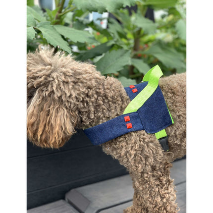 Navy Denim & Neon Easy Wear, No Chock Dog Harness