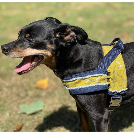 Mustard Honeycomb Denim Dog Harness