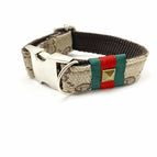 Collar Only / XS / Silver