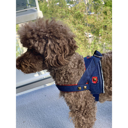 Frayed Denim & Red Harness With Bronze Studs
