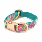Collar / XS