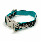 Collar / XS