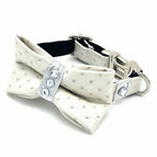 Collar & Bow Tie Set / XS