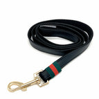 Leash Only / S