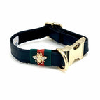 Collar Only / XS