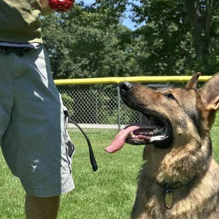 USA-K9 Grenade Durable Rubber Chew Toy & Tug Toy