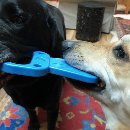 Pop Top Pull Tab Ultra Durable Nylon Dog Chew Toy