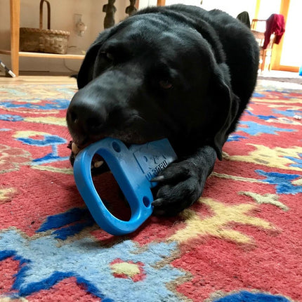 Pop Top Pull Tab Ultra Durable Nylon Dog Chew Toy