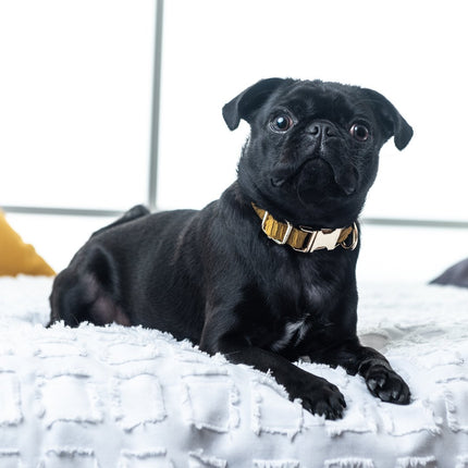 Mustard Houndstooth Collar & Bow Tie