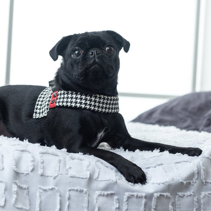 Xolotl Pied De Poule Dog Harness