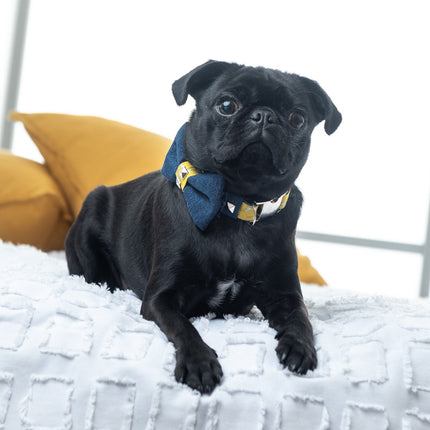 Mustard Honeycomb denim Dog Bow Tie