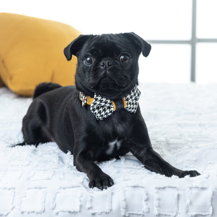 Houndstooth Mustard With Real Leather Accent Collar & Bow Tie