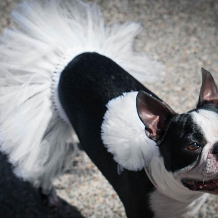 White Bridal Dog Tutu Skirt