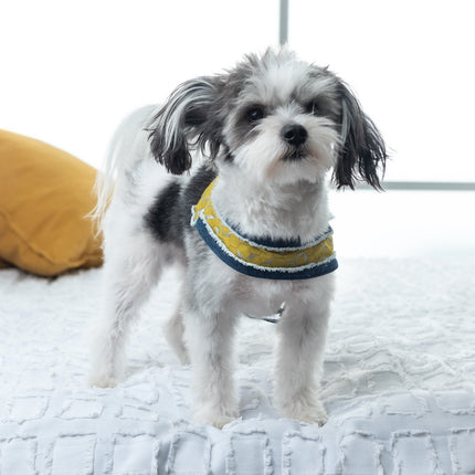 Mustard Honeycomb Denim Dog Harness