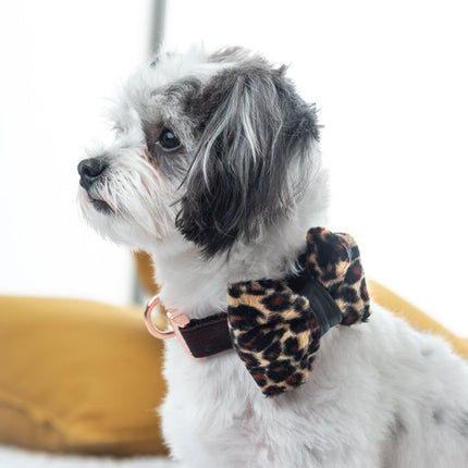 Leopard Dog Bow Tie With Leather Accent